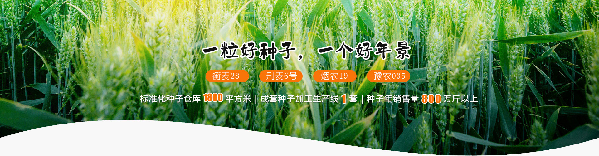 嘉祥晨禾種業(yè)有限公司