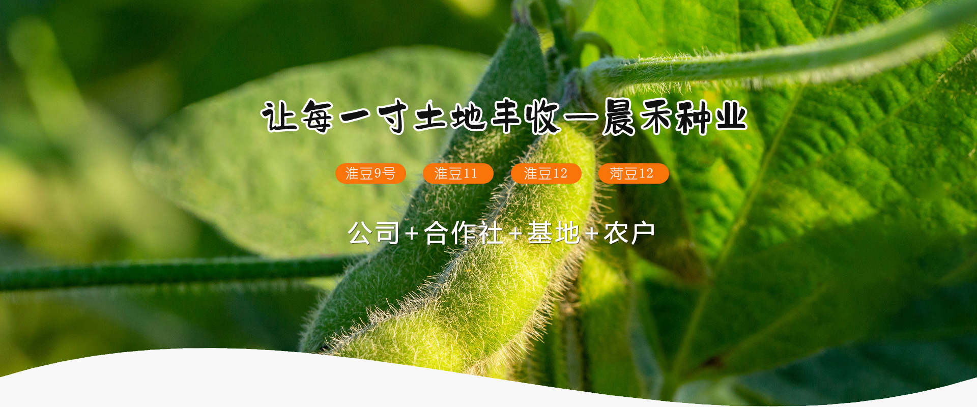 嘉祥晨禾種業(yè)有限公司