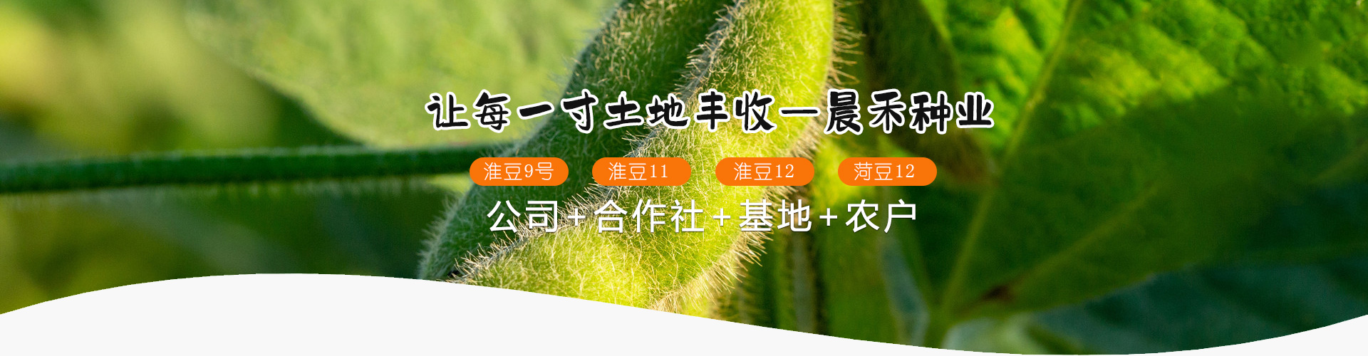 嘉祥晨禾種業(yè)有限公司