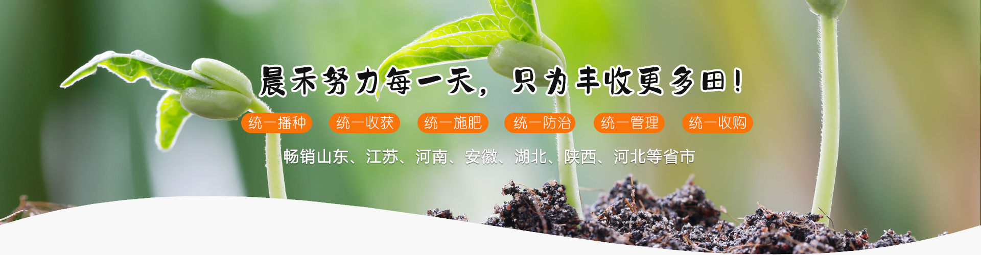 嘉祥晨禾種業(yè)有限公司