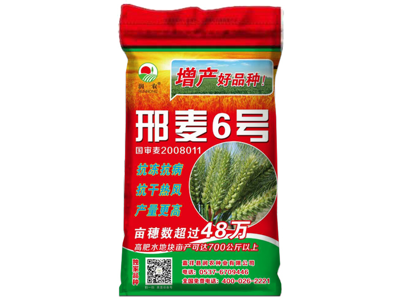邢麥6號特征特性和栽培要點