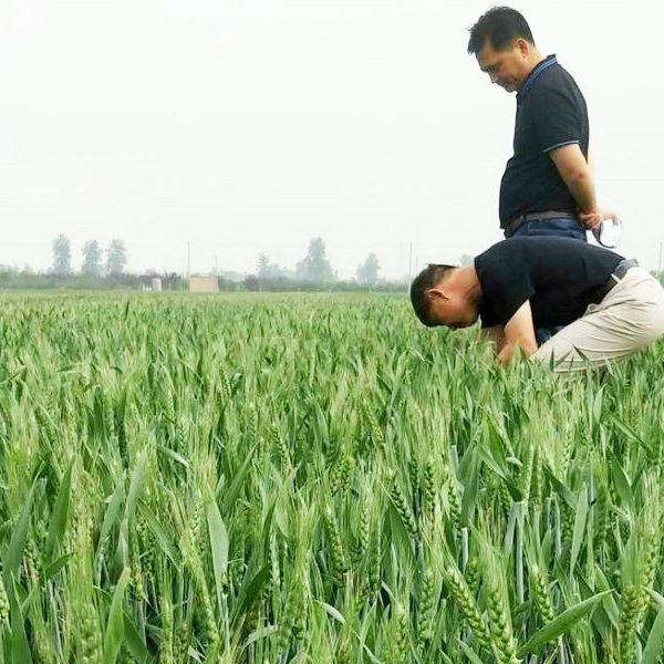 合作案例