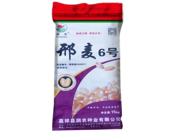 邢麥6號(hào)