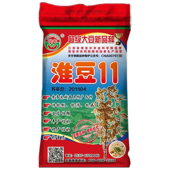 淮豆11