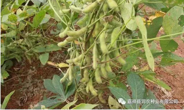微信圖片_20180917100506.jpg