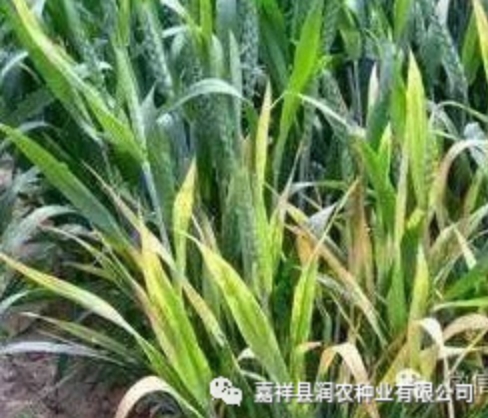 BaiduHi_2018-12-19_9-19-23.jpg