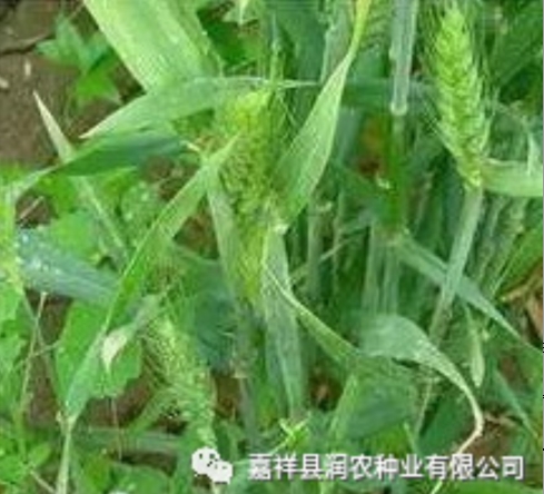 BaiduHi_2018-12-19_9-23-22.jpg