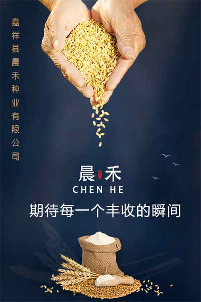 嘉祥縣晨禾種業(yè)有限公司