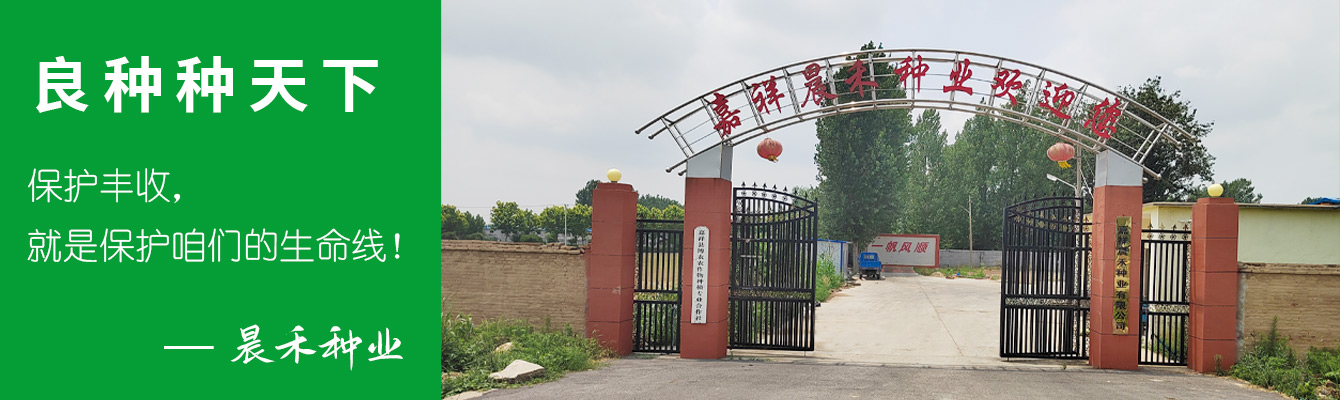 嘉祥縣晨禾種業(yè)有限公司