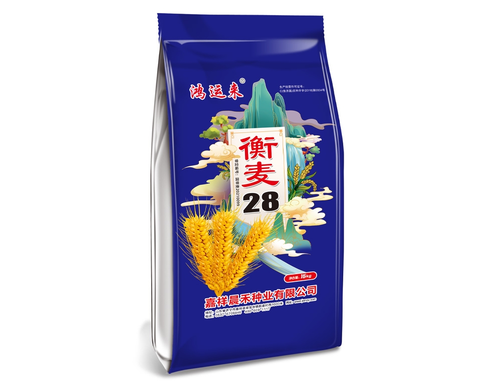 衡麥28