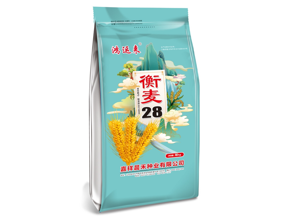 衡麥28