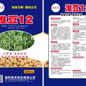淮豆12