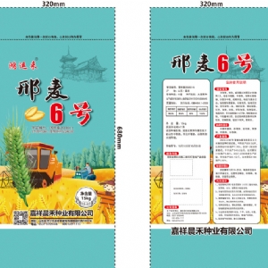 邢麥6號