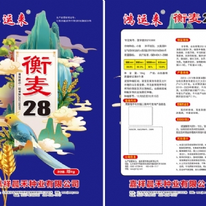 衡麥28