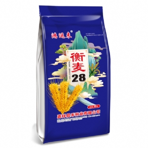 衡麥28