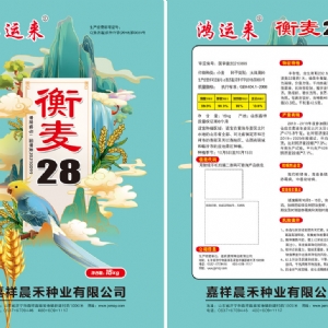 衡麥28